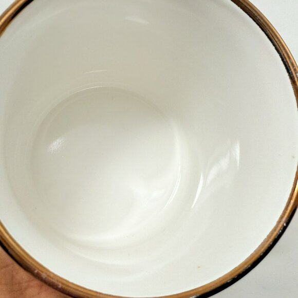 North American Wild Birds Mug Blackbird Watcher Wildlife Silhouette Shadow Gold - Picture 5 of 12